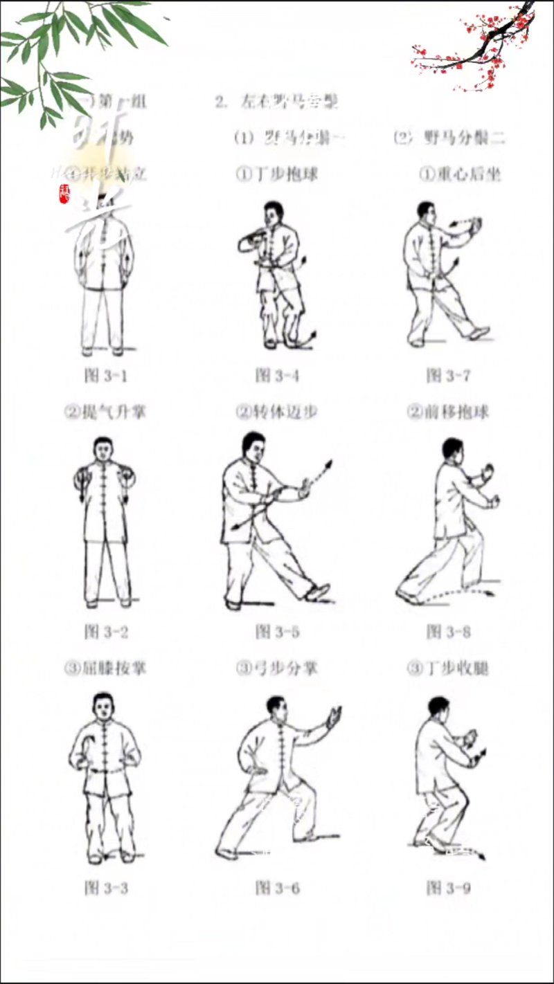 走进太极养生的世界：动态中的静养之道
